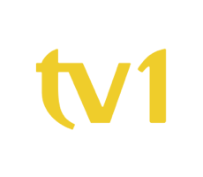 Grupo TV1